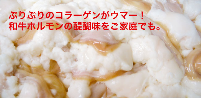 ぷりぷりのコラーゲンがウマー! 和牛ホルモンの醍醐味をご家庭でも。