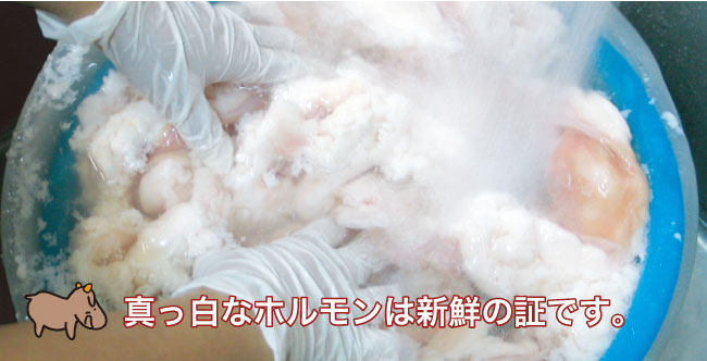 真っ白なホルモンは新鮮の証です。